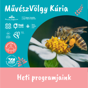 Ezen a héten a Kúriában…